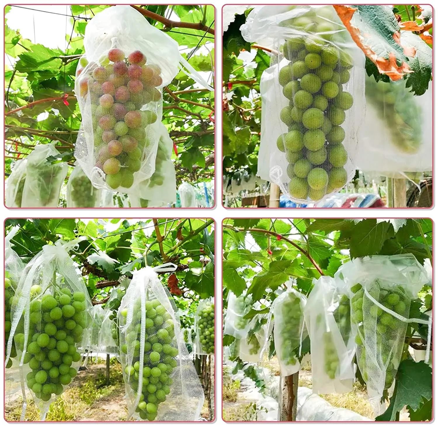 Bolsas para Uvas En Parra 100 Uds Bolsas de protección Frutas Red for Control plagas Uvas antipájaros Malla jardín Cultivo UVA Gran tamaño(White,30 x 40CM)