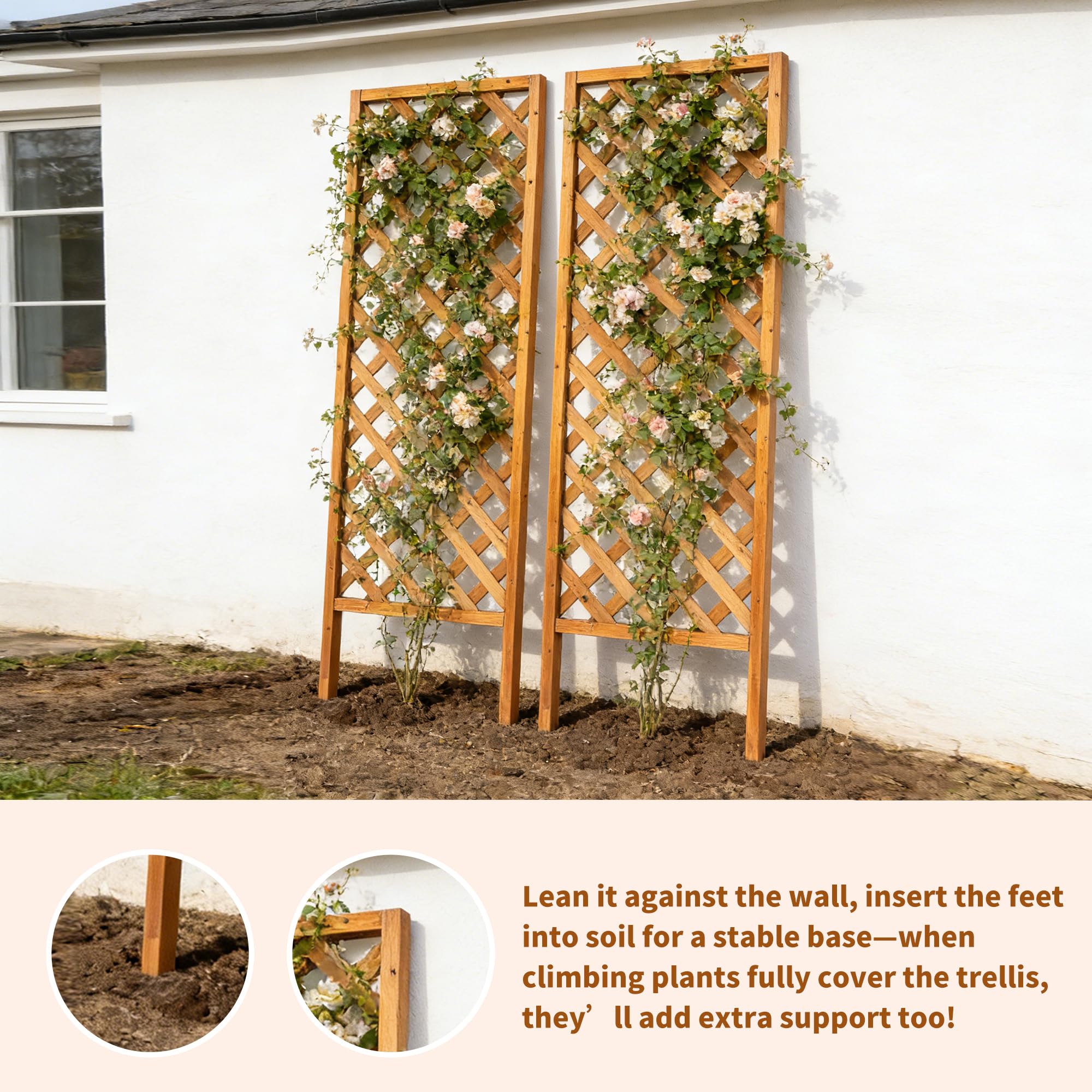 Amazon.com : ScienGarden 2-Pack Wooden Garden Trellis Panels, 72" H x 24" W  Each  FSC Fir Wood Lattice Privacy Screen for Outdoor Vines & Roses,  Weather-Resistant Water-Based Finish : Patio, Lawn