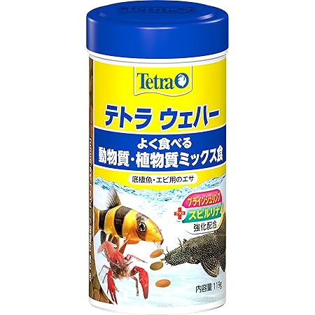 Amazon テトラ Tetra カラシンベーシック g 熱帯魚 エサ テトラ Tetra 餌 通販 Amazon テトラ Tetra カラシンベーシック g 熱帯魚 エサ テトラ Tetra 餌 通販