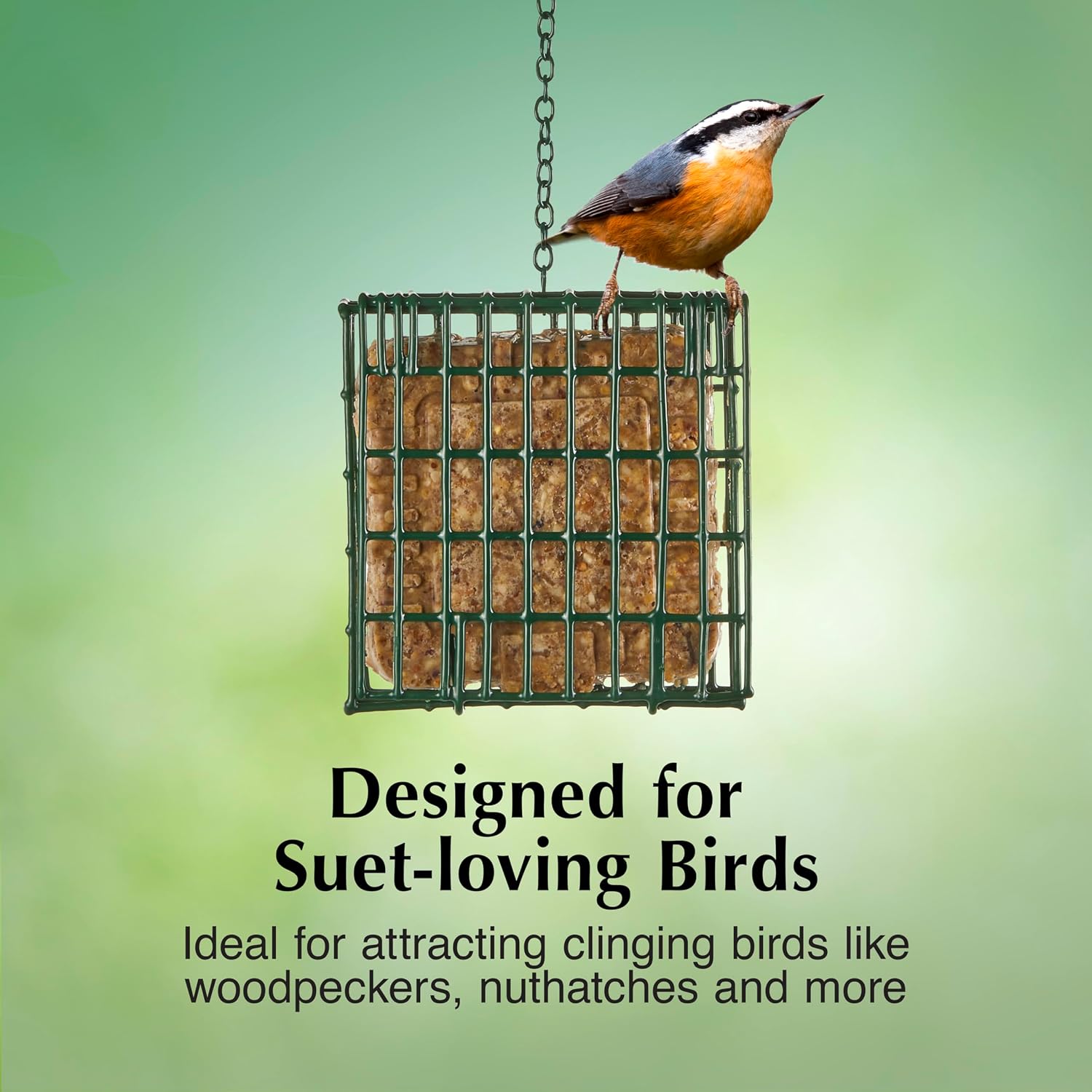 C&S EZ Fill Suet Basket, Suet Feeder for Wild Birds, 8 Ounces image 4