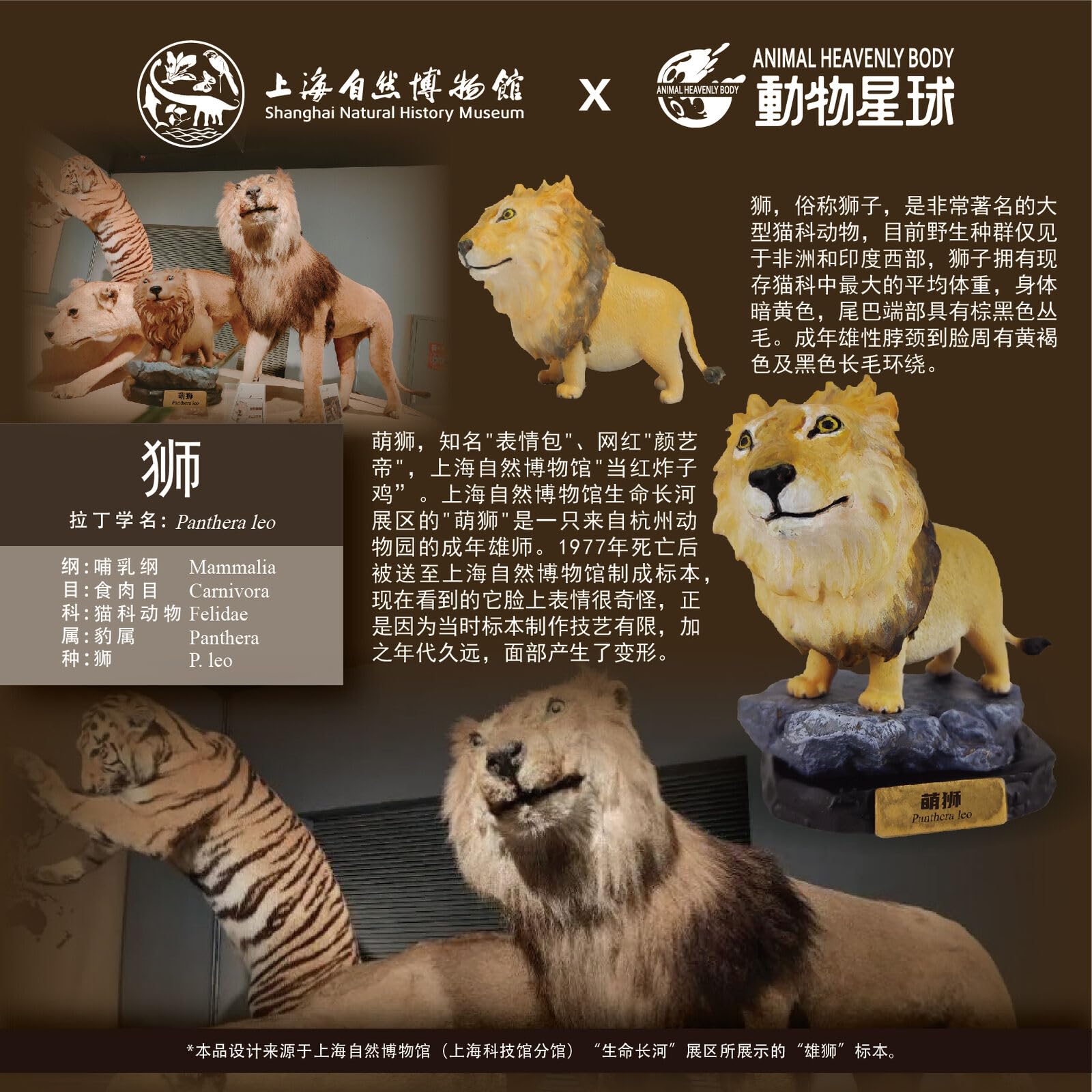 Amazon.com: WLNTDOLA Animal Heavenly Body Lion Model Dinosaur