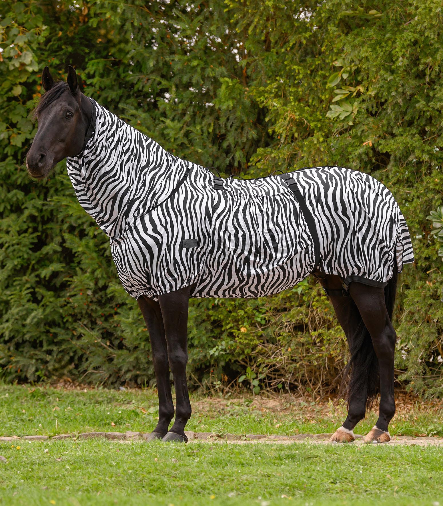 Waldhausen Manta para eczema Zebra Basic, 135 cm