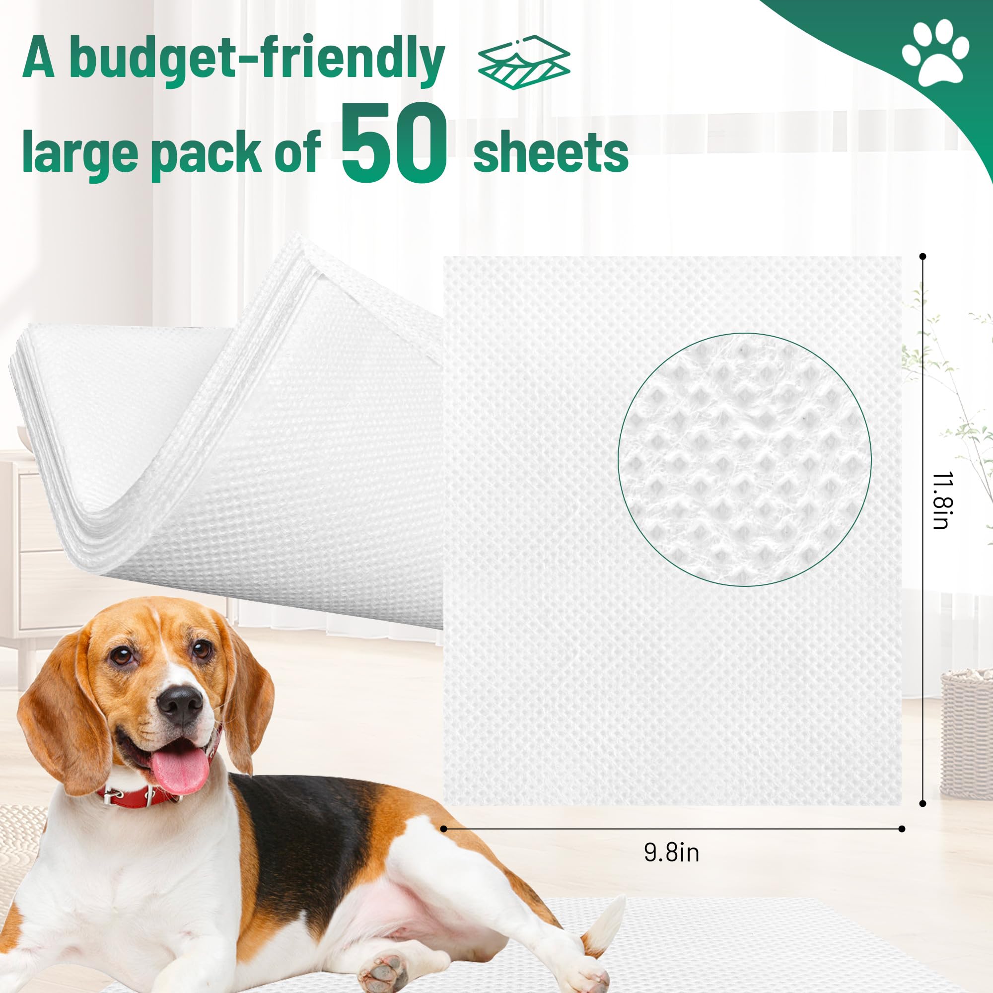 Spring Pole For Dogs LOOBANI Dog Tug Toy - Bungee Rope Chew Set For Small  To Large Dogs (2-Pack) - Indoor Tether For Aggressive Chewers Cable Run