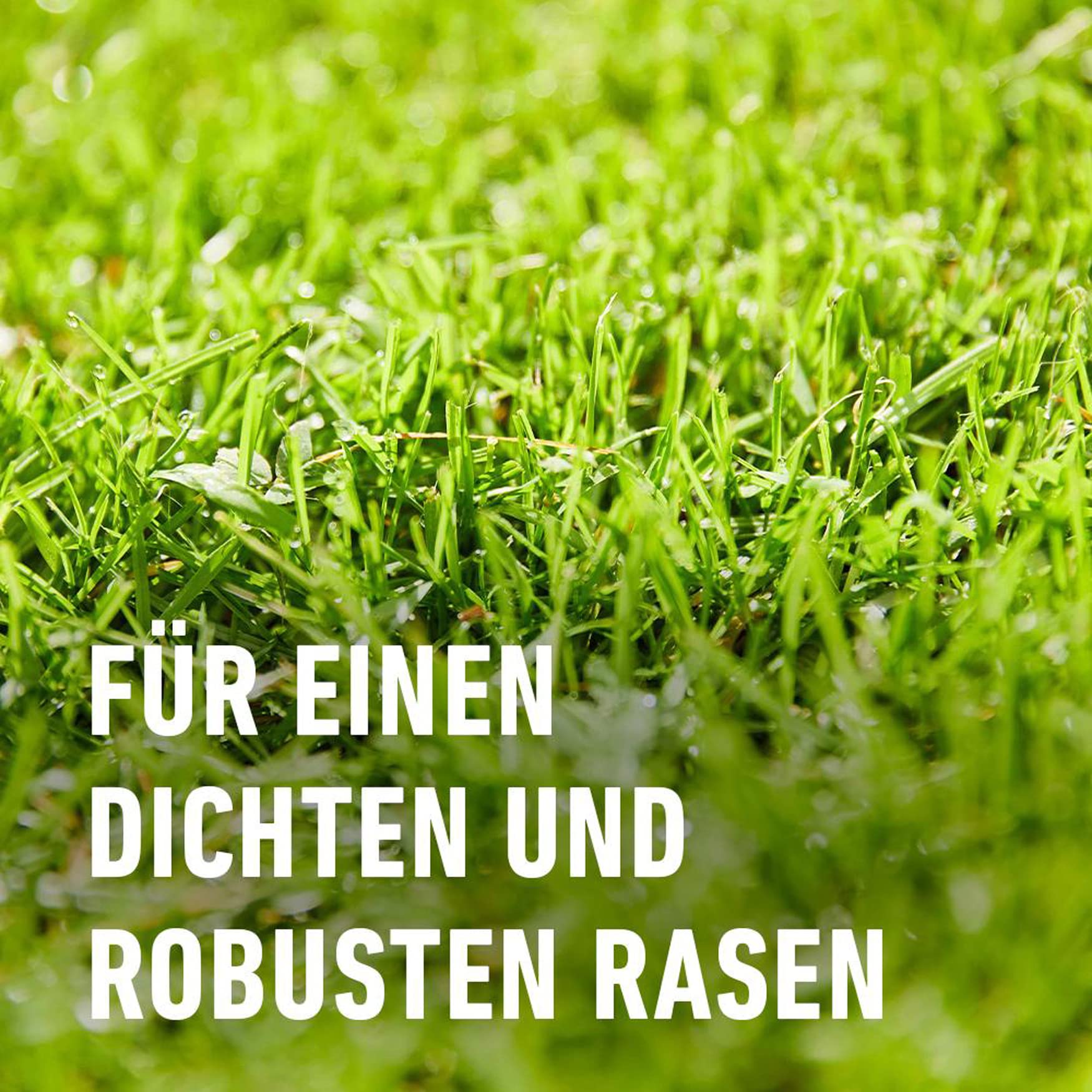 gemüse saatgut großpackung Bio-Saatgut Abobox 'Gartengemüse' main image 0