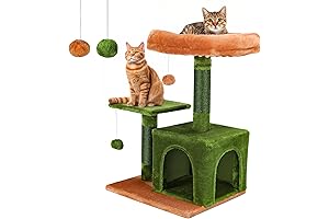 AgyM Feline Oasis: Ultimate Playground for Your Furry Friends