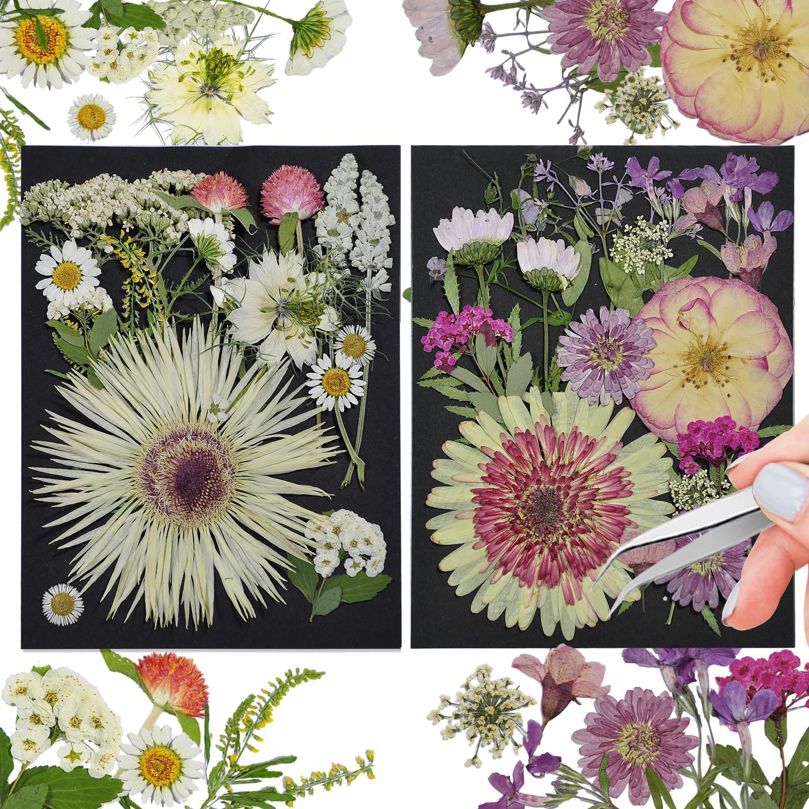 White Dried Pressed Flowers, 40Pcs Real Nature Flowers Set with Tweezers