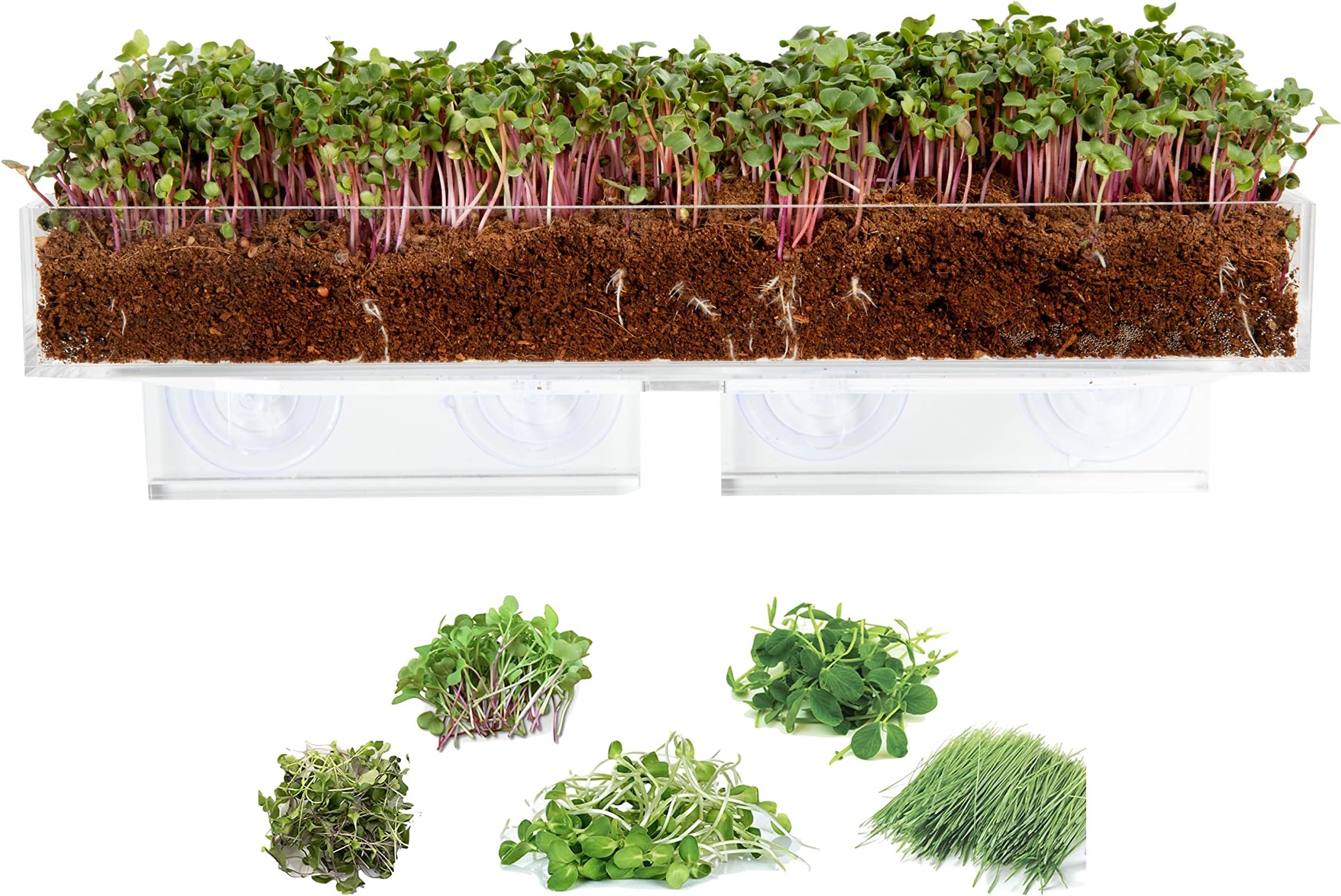 Window Garden Window Plant Shelf Microgreens Kit - Acrylic Window Ledge Shelf for Plants with Assorted Seeds and Fiber Soil - Complete Superfood Microgreen Growing Kit - Indoor Suction Cup Planter