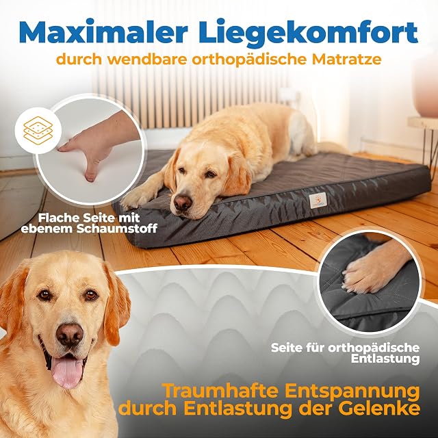 Foto 3 de 7 de Cama Ortopédica para Perros Resistente al Agua