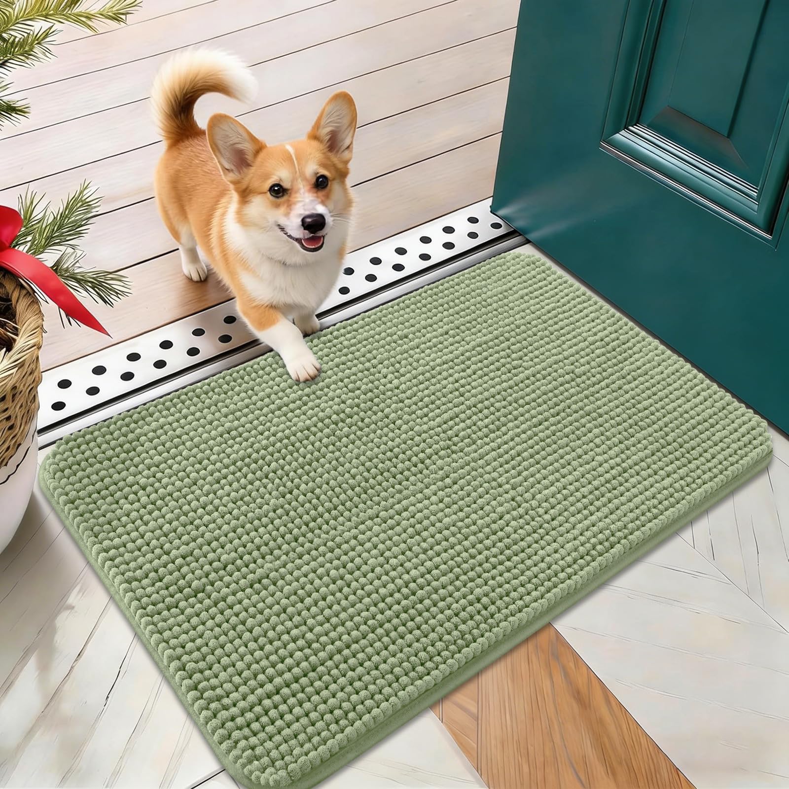 OLANLY Dog Door Mat for Muddy Paws 24x16, Absorbent Chenille Mud Doormat