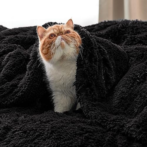 Miniatura 8 de Bedsure GentleSoft Fuzzy Sherpa Faux Fur Twin Blanket Black Cozy Gifts for Women Men, Soft Fleece Plush Warm Minky Thick Blanket Twin Size for Bed