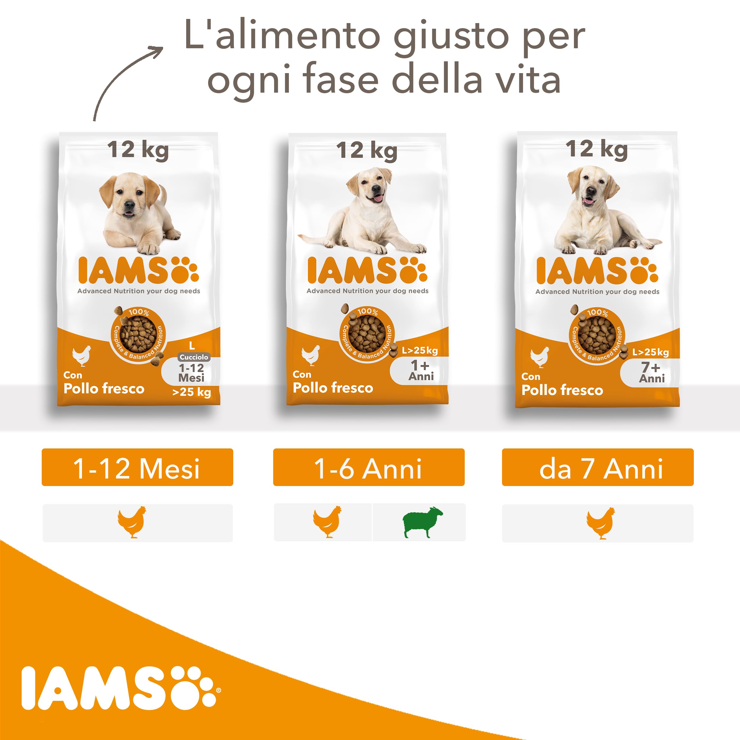 IAMS cibo secco per cani con pollo - Cibo secco per cani adulti a partire da 1 anno di età, adatto a cani di taglia grande, 12 kg