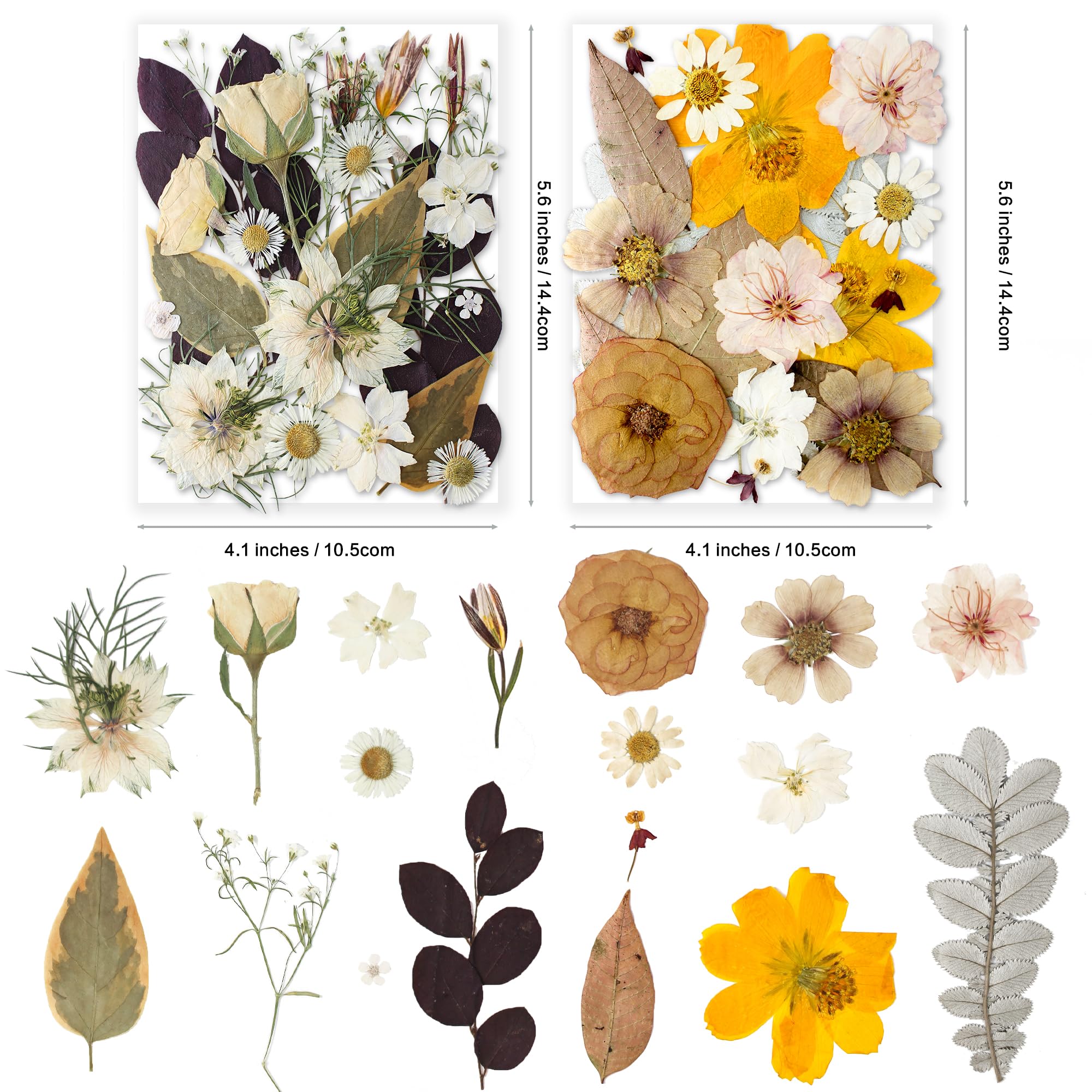 YouthBro 148PCS Dried Pressed Flowers for Resin Real Nature Flowers Herb Set for Christmas DIY Candle Soap Vase Making Nail Card Scrapbook Art Craft Floral Decors Boho Style - Image 4