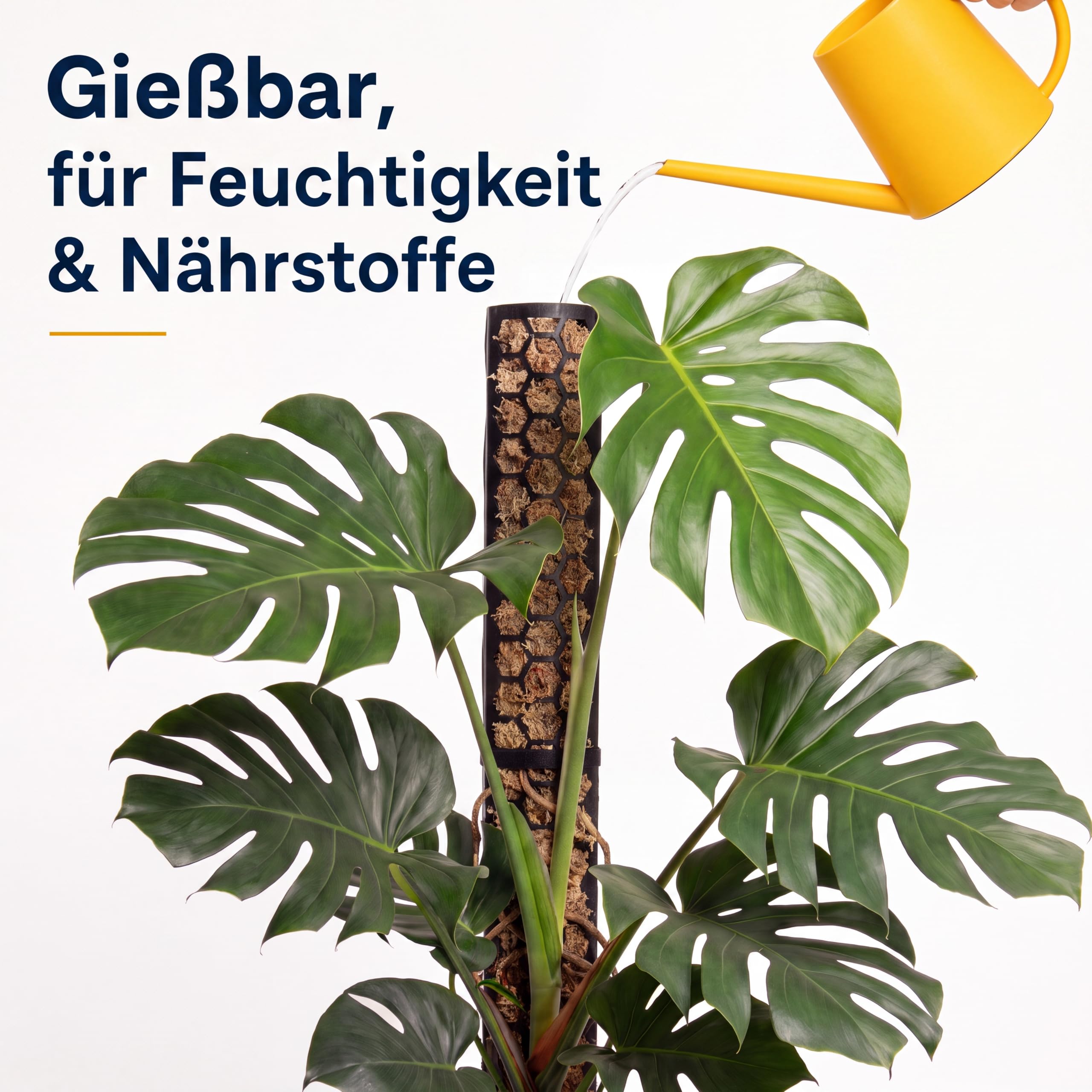Bastone di muschio per rampicanti Monstera, piante da interni, piante rampicanti, edera e muschio, supporto per piante, palo di muschio, aiuto per piante da interni, filodendro (nero)