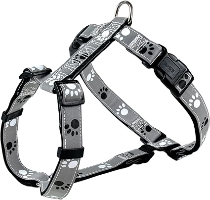 silver dog harness