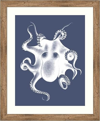 Amanti Art Framed Wall Art Print 36x30 White Octopus on Indigo Blue d by Fab Funky, Animals Wall Art, Vintage Decor, Large Poster Painting Artwork