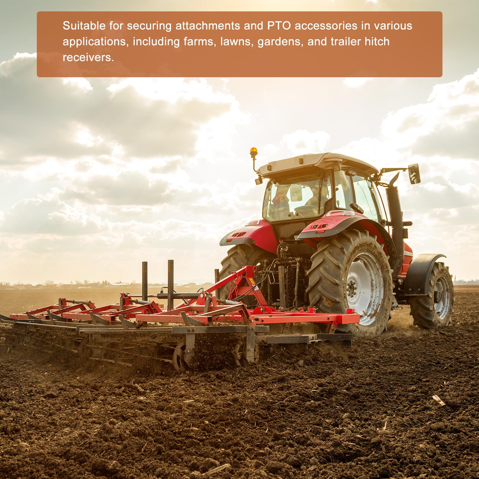 Amazon.co.jp: DTGN 8mm x 45mm（DxL）軸ロックピン 2個入り