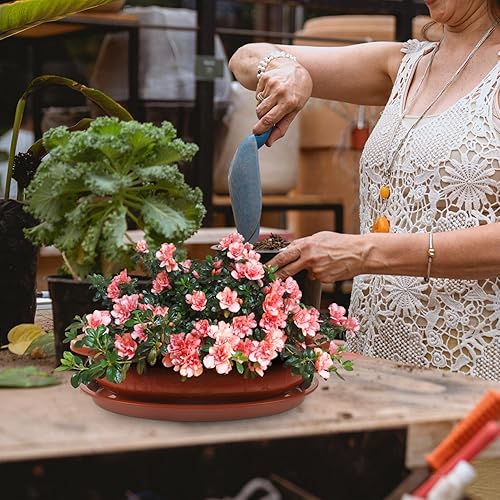 Miniatura 7 de TEHAUX Macetas de entrenamiento para bonsái, maceta ovalada de plástico para bonsái con orificio de drenaje, macetas de balcón de 15 pulgadas,