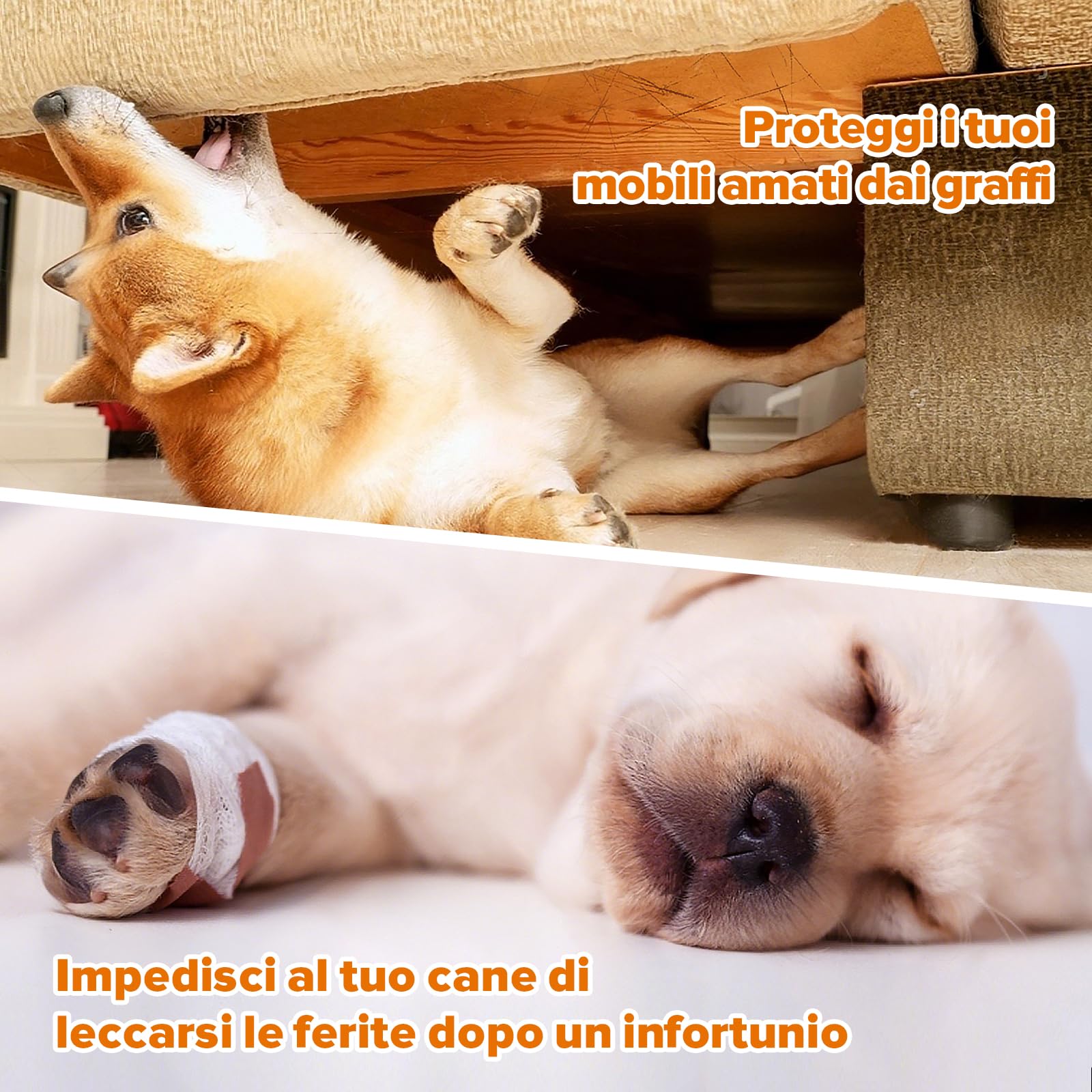 Maisly 5 Calzini Antiscivolo su Entrambi i Lati con Cinghie Regolabili per Interni ed Esterni, Protezione Zampe e Controllo della trazione su Pavimenti in Legno Duro (XL)