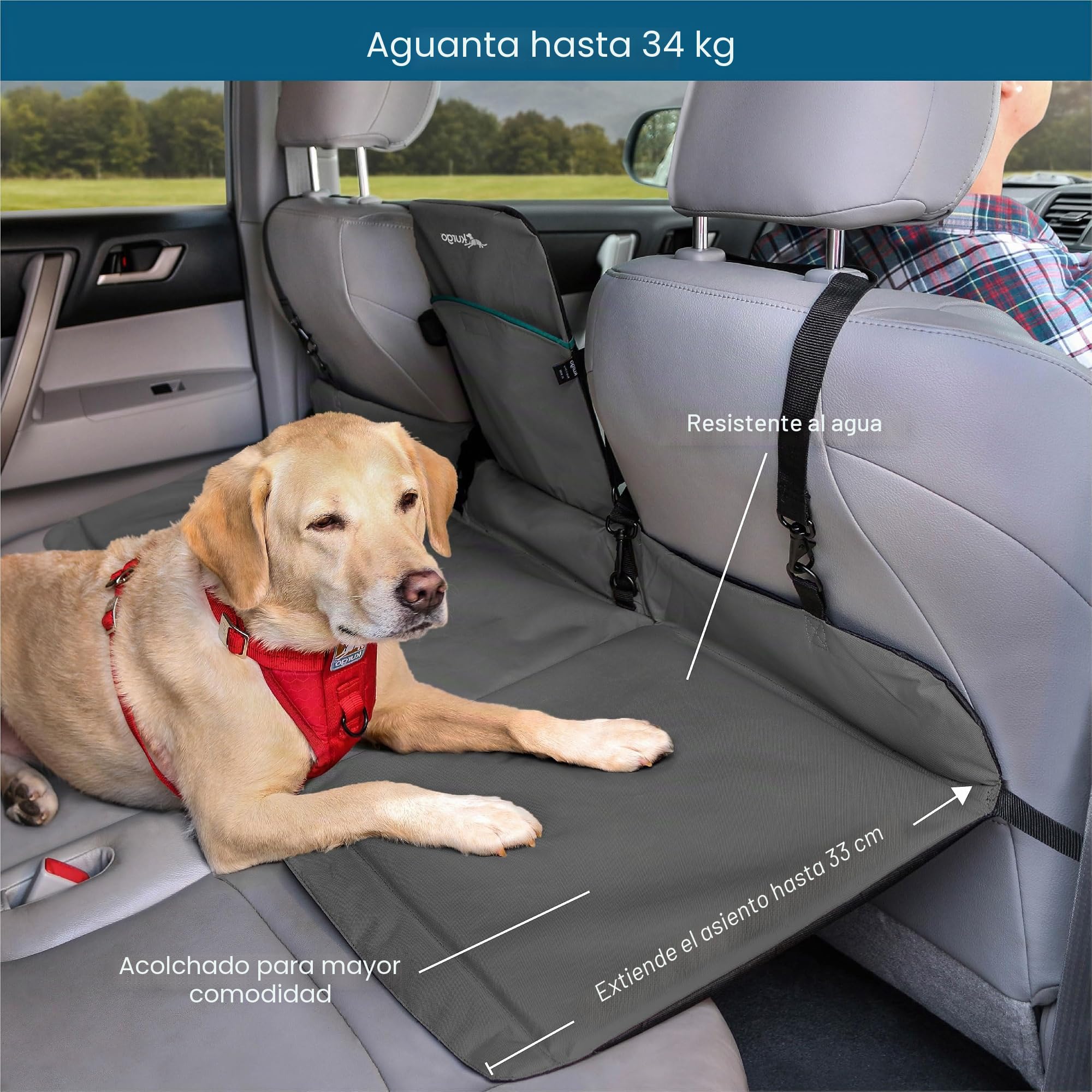 Kurgo Rover - Separador de Asientos para Coche, Valla de Coche para Perros, Extensión del Asiento Trasero para Coche, Plataforma Trasera para Perros, Impermeable y Reversible - Negro/Gris