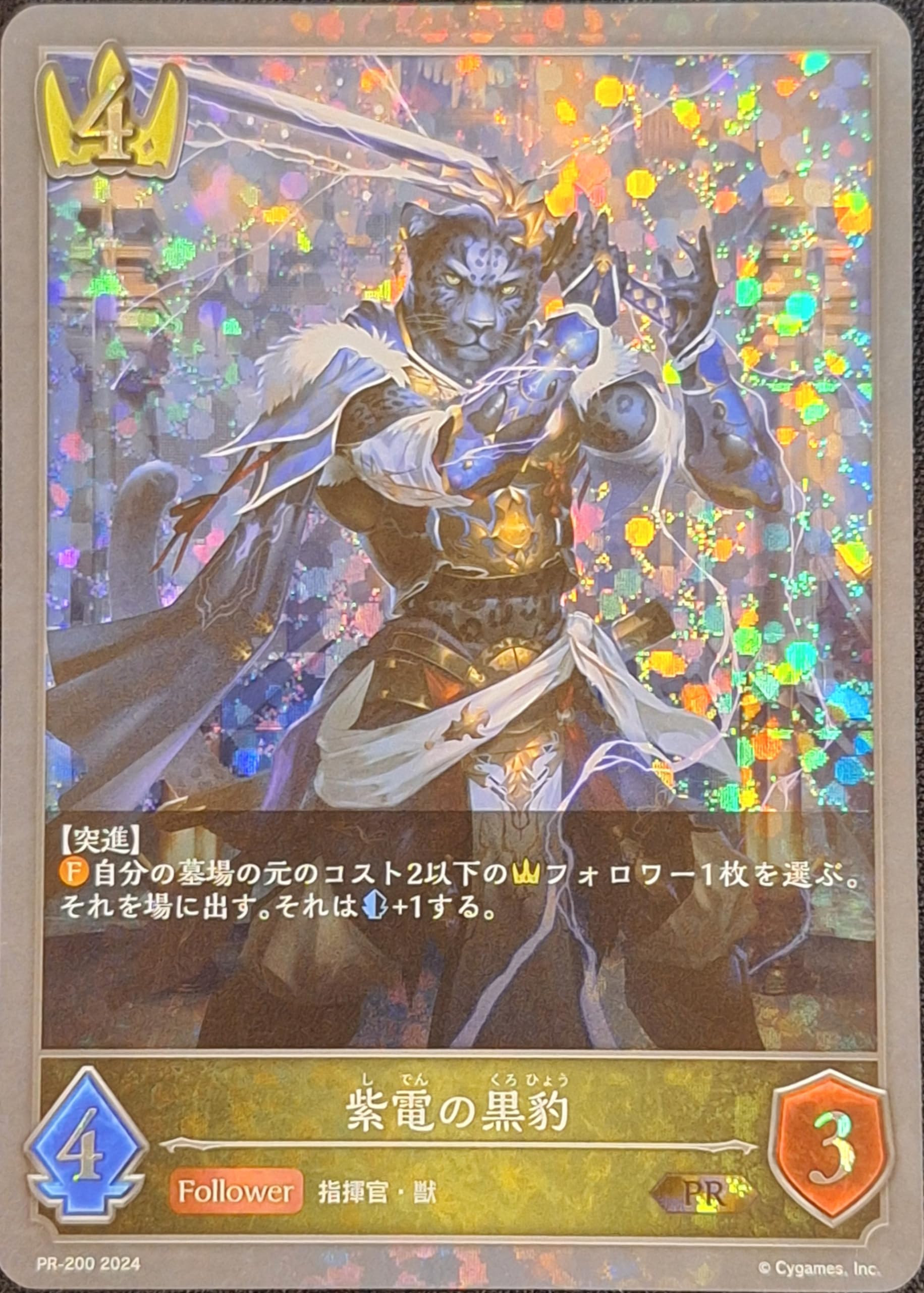 Amazon.co.jp: シャドウバース エボルヴ プロモ プレミアム PR-200