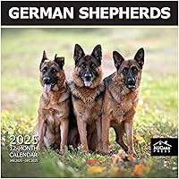 Vista 81 de MICASA PRESS Corgi Butts - Calendario de pared 2026 de 12 meses 12 x 24 pulgadas abierto Papel grueso y resistente Regalo de vacaciones