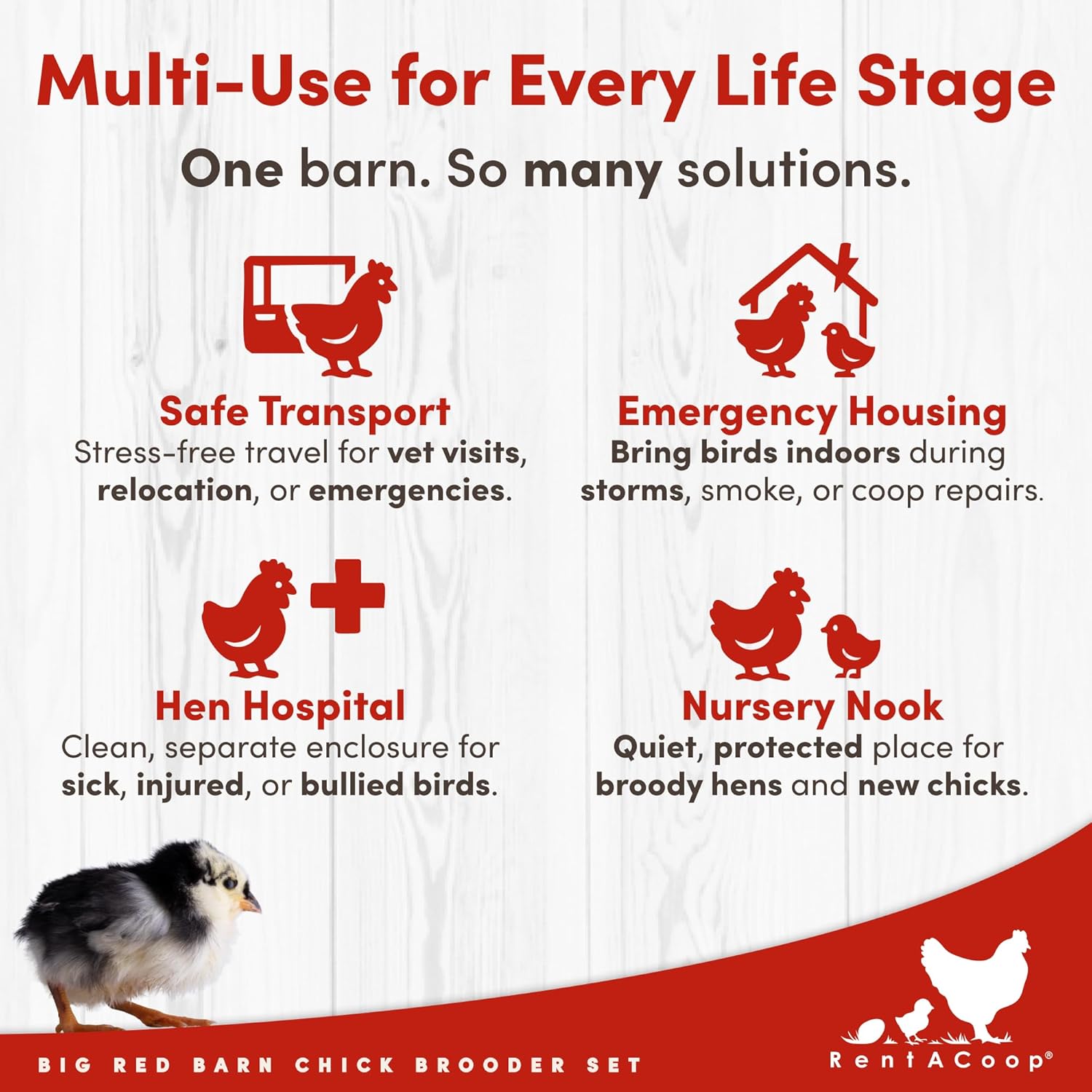 RentACoop Big Red Barn Chick Brooder Set | Durable, Lightweight, Easy-Clean, Multipurpose | with Heating Plate, Feeder, Waterer, Absorbent Hatchling Liners, Jute Liners, LED Light, Security Latch