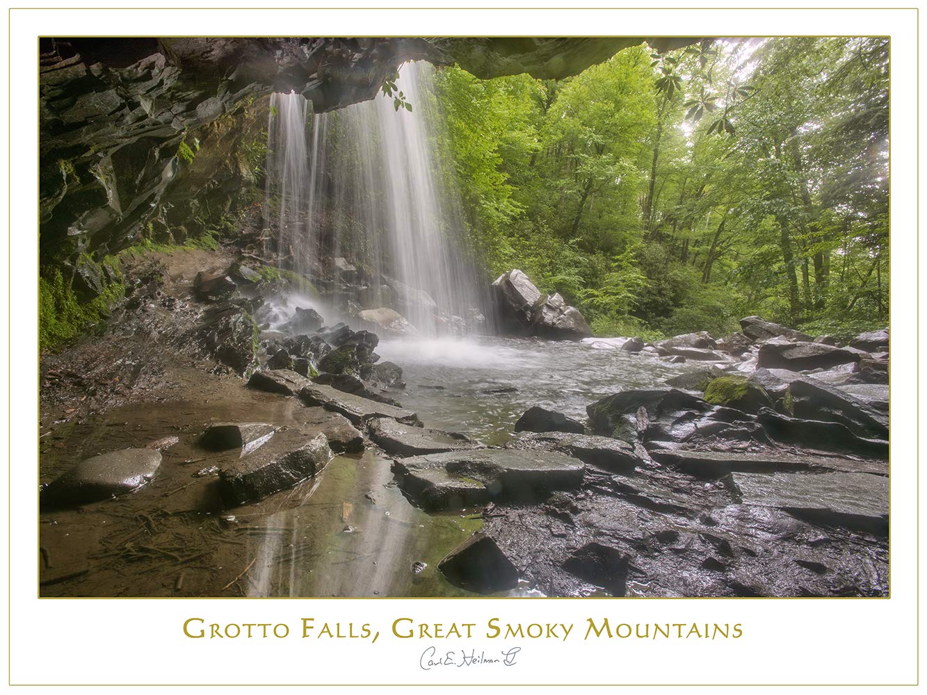 Are Dogs Allowed At Grotto Falls