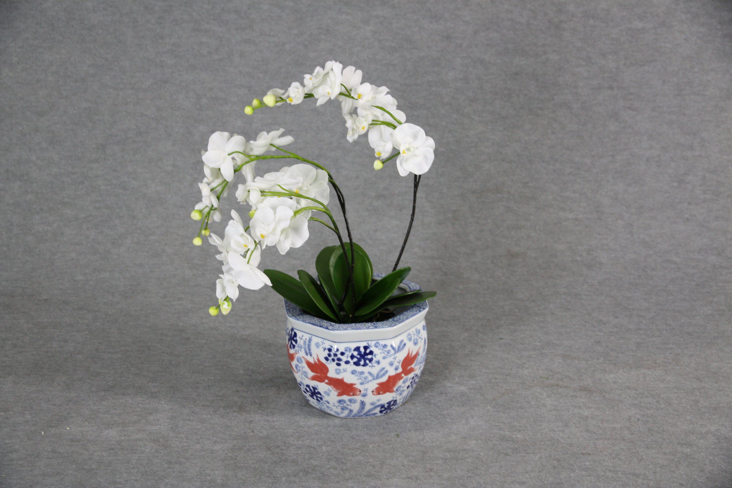 Amazon | 不二貿易 八角 金魚柄 火鉢 3点 C-09A 90499 | 鉢