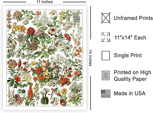 Miniatura 563 de Poster Master Póster vintage de orquídea, estampado de flores retro, arte de pared de plantas exóticas, arte botánico, regalo para hombres y