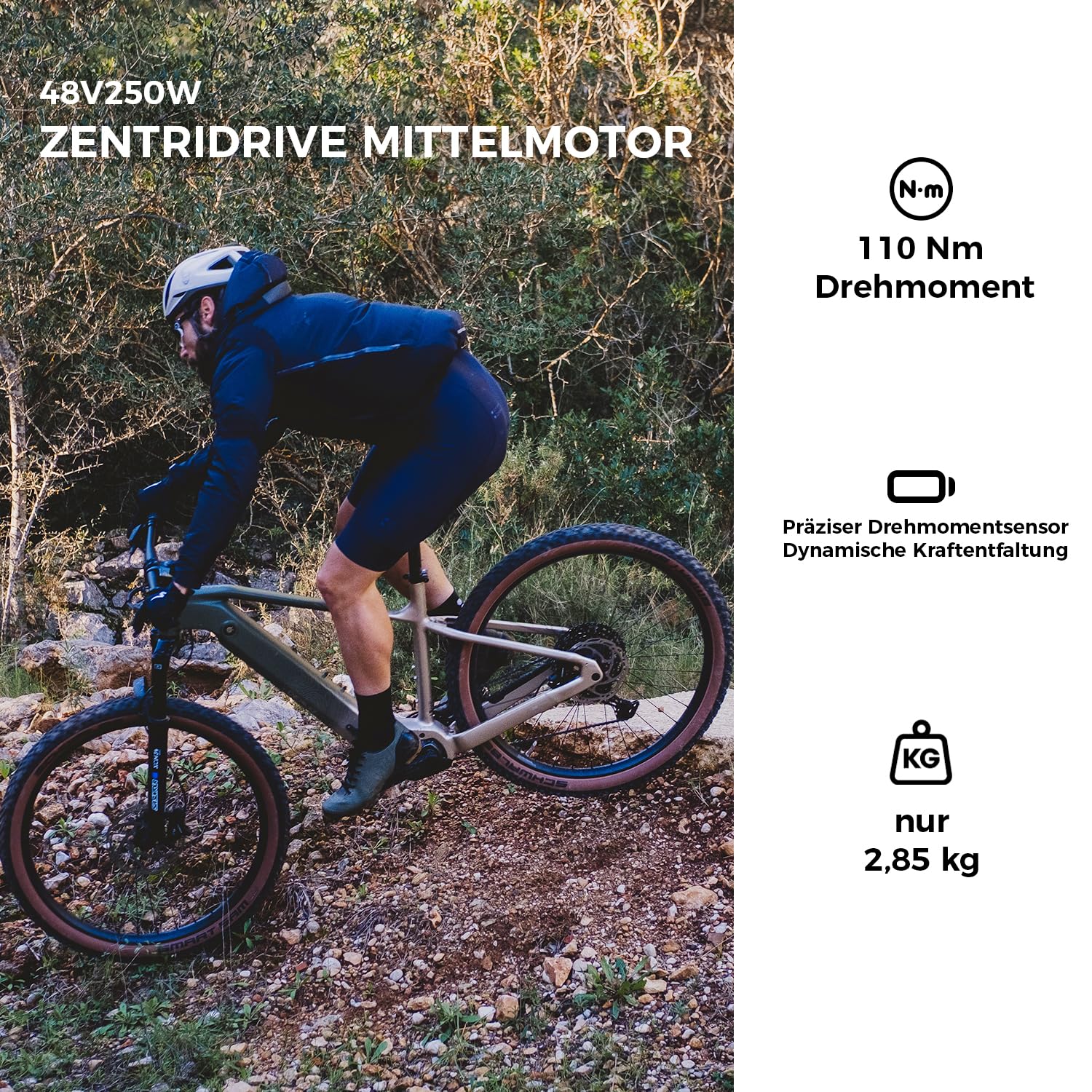 DERUIZ Dolomit E Bike 29 * 2.6 Zoll MTB mit 250W 110Nm Mittelmotor | 11 Gänge Elektrofahrrad,48V 720Wh Akku, Reichweite bis zu 180 KM, Mountainbike für Damen & Herren,StVZO,RH 43cm/48cm