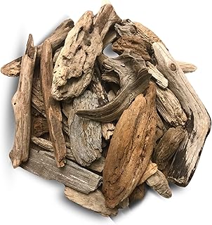 Driftwood for Crafts and Decor, Wedding Centerpiece, Vase Filler, Table ...