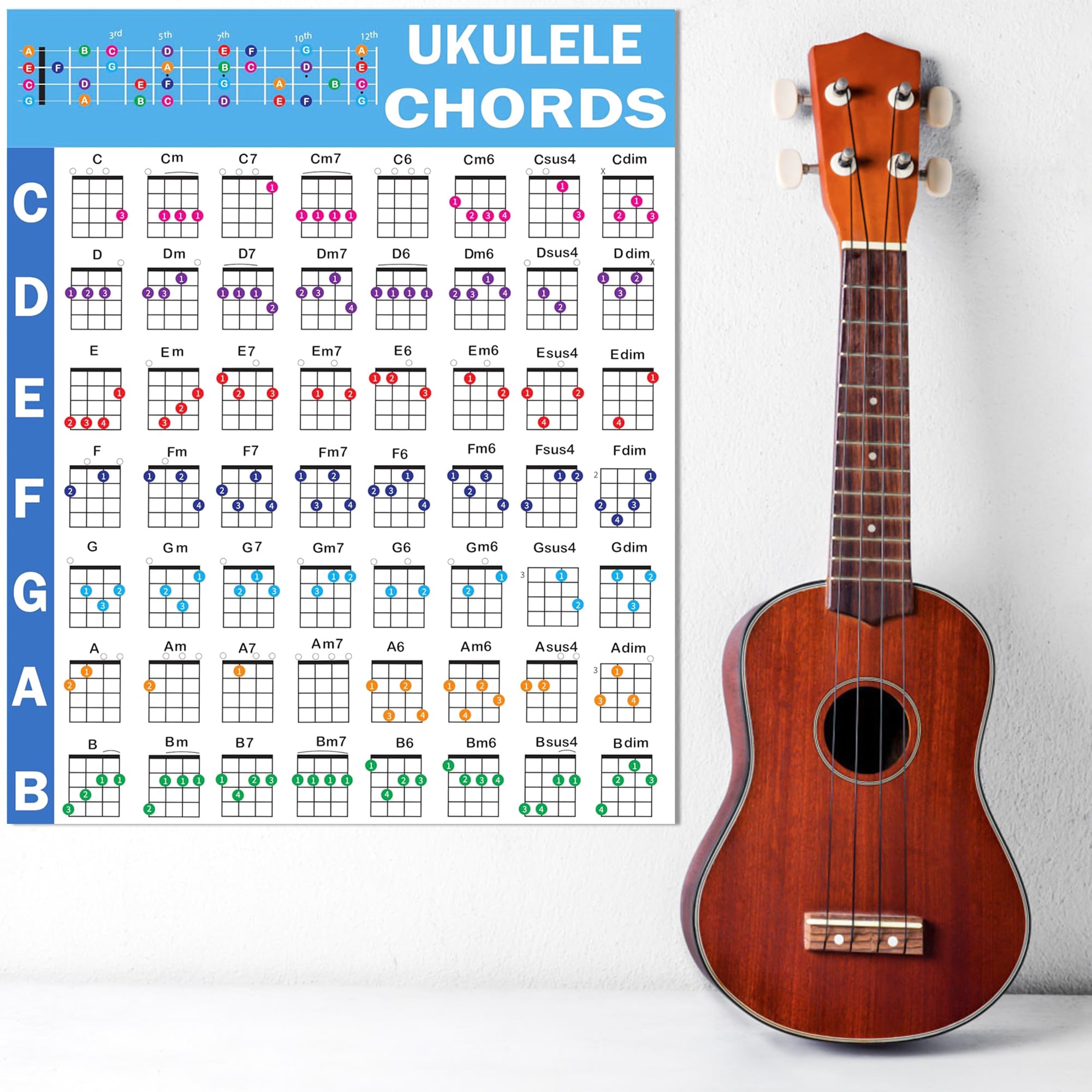 Poster Laminato Accordi Per Ukulele, 11x17 Pollici, Per Soprano, Concerto E Tenore, Principianti