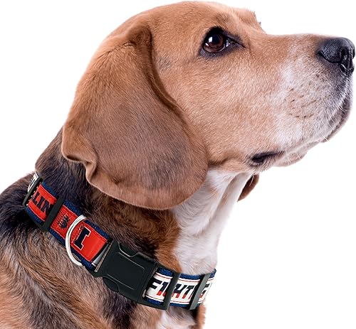 Miniatura 113 de Collar para mascotas NCAA - Resistente, fuerte, duradero y ajustable, collar de perro NCAA -, Bulldogs de Mississippi State, L, Team