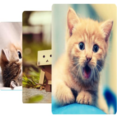 Lovely wallpapers, backgrounds & lock screens