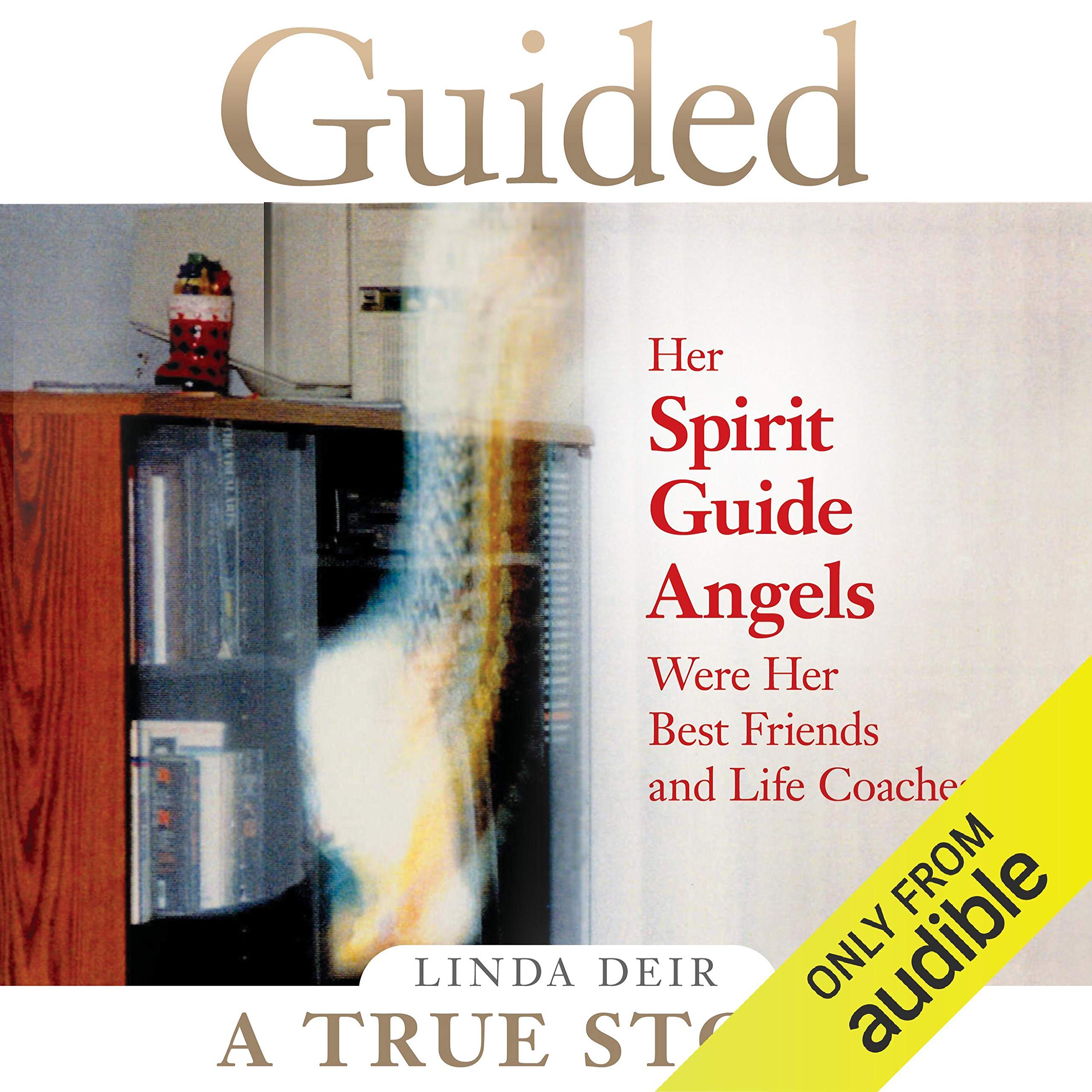 Cover art for Guided