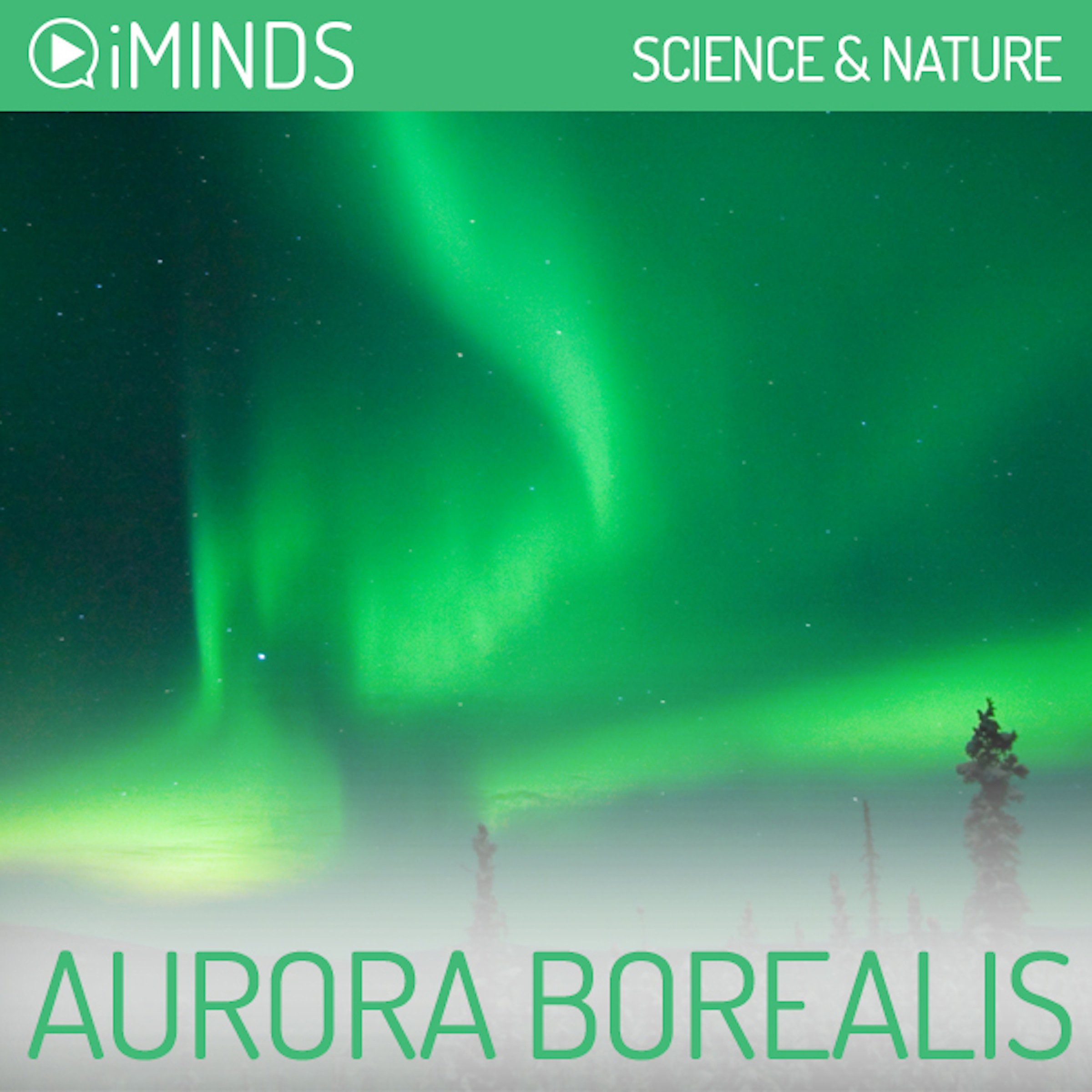 Cover art for Aurora Borealis