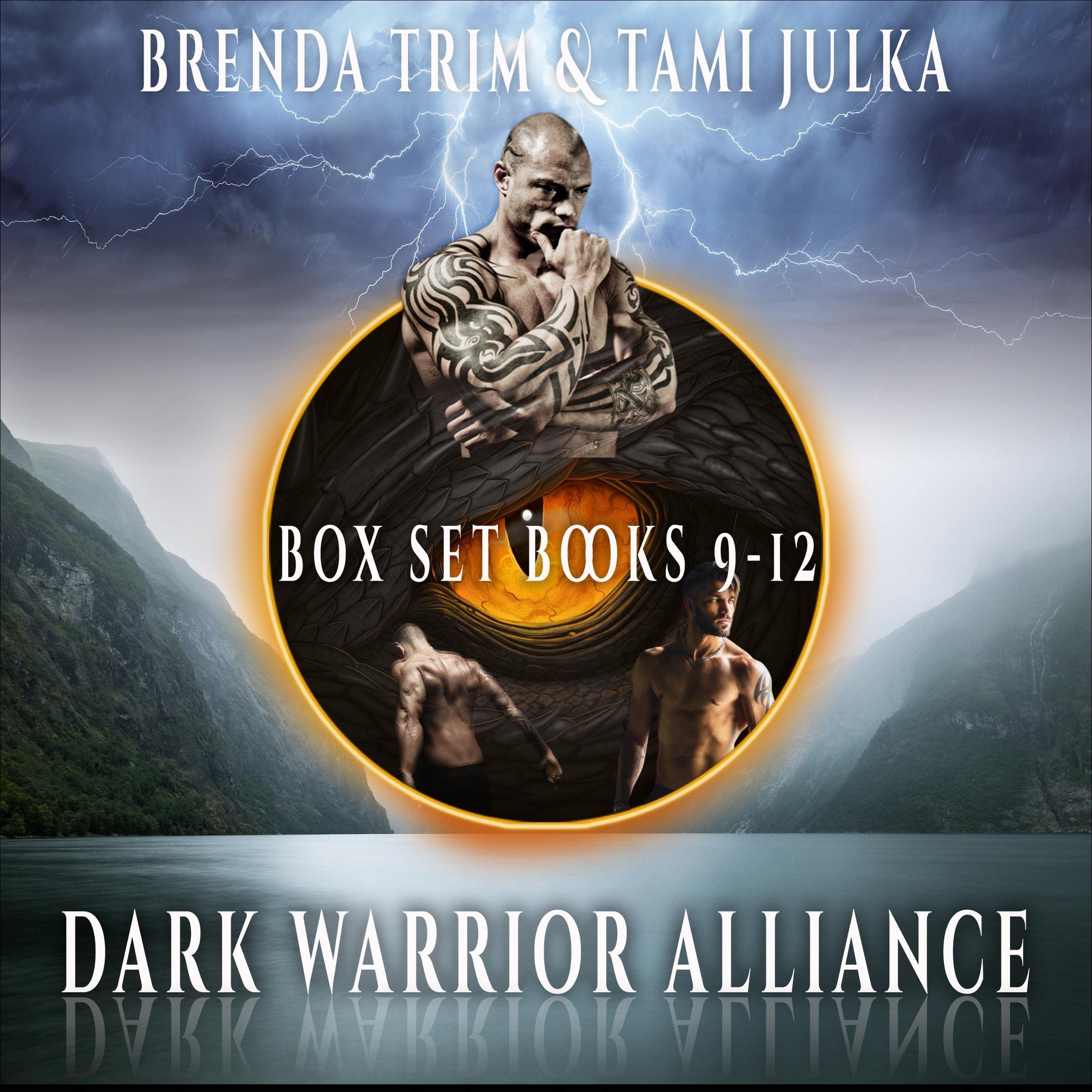 Cover art for Dark Warrior Alliance Boxset, Books 9-12
