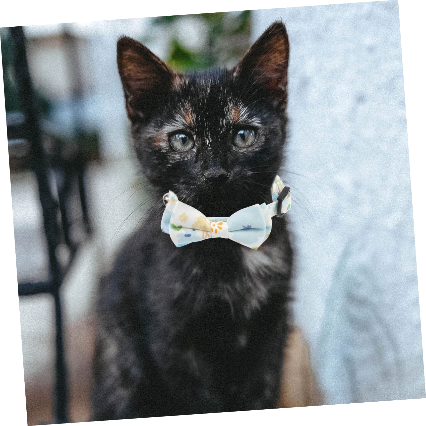 YARNOW 10 Pezzi collare per gatti domestici decorazioni floreali collare da gattino arredamento abito delicato colletto da gattino delicato collare per cani Stoffa decorare la campana