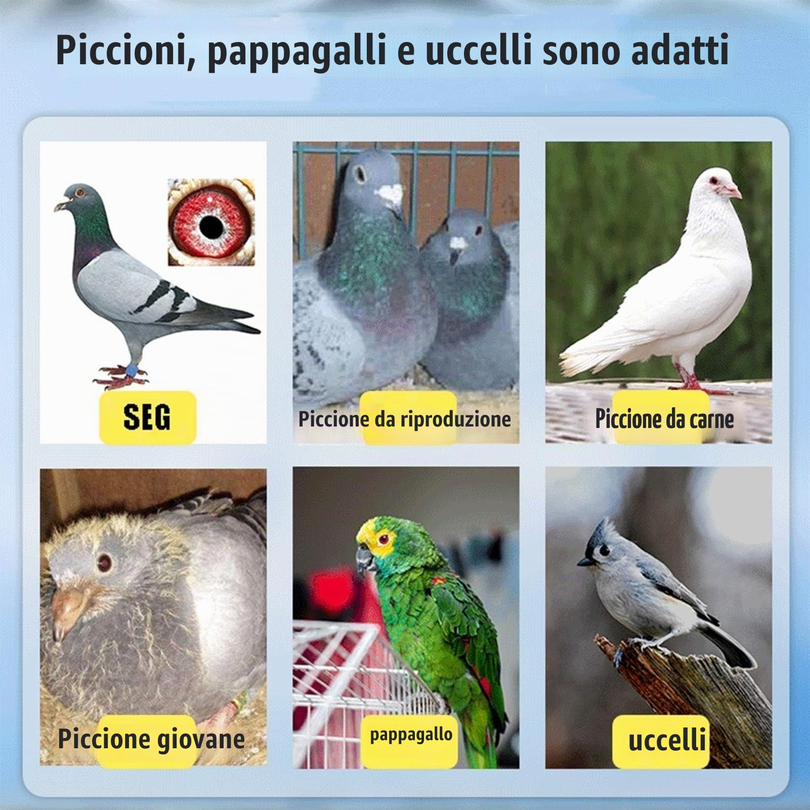 Nidi per Uccelli Giardino Esterno Nido di Uccello, pappagalli, piccioni e Uccelli Posto di Riposo e Allevamento, Birdhouse Natural Woven (Size : 35x25cm)