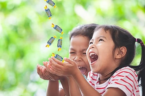 Miniatura 5 de Jolly Ranchers - Caramelo duro de frambuesa azul envuelto individualmente de 3 libras para celebrar el 4 de julio, cumpleaños, Halloween, fiestas