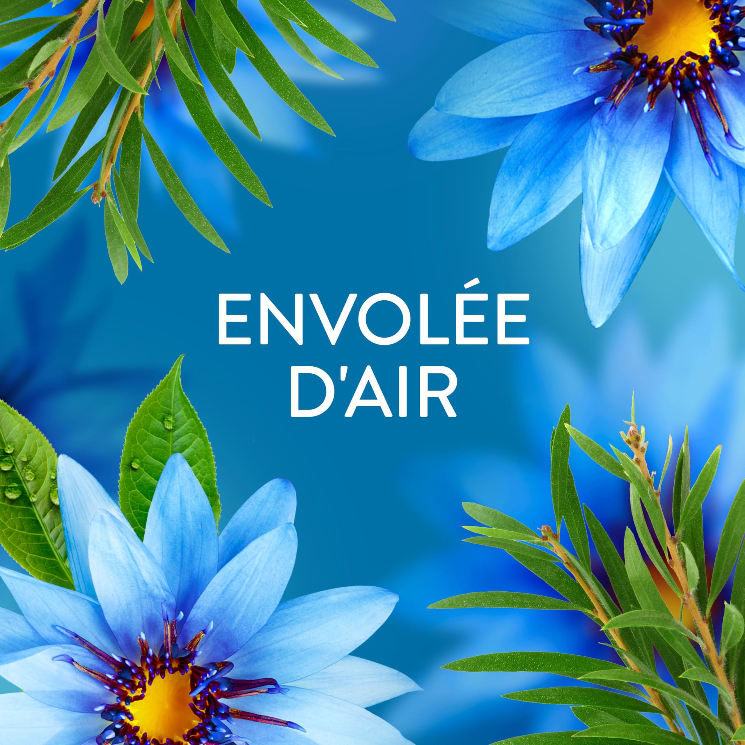 Lenor Adoucissant, 504 Lavages (12 x 42 Lavages), Envolée d’Air, 24H De Fraîcheur Relaxante, Avec Une Touche D’Huiles Essentielles
