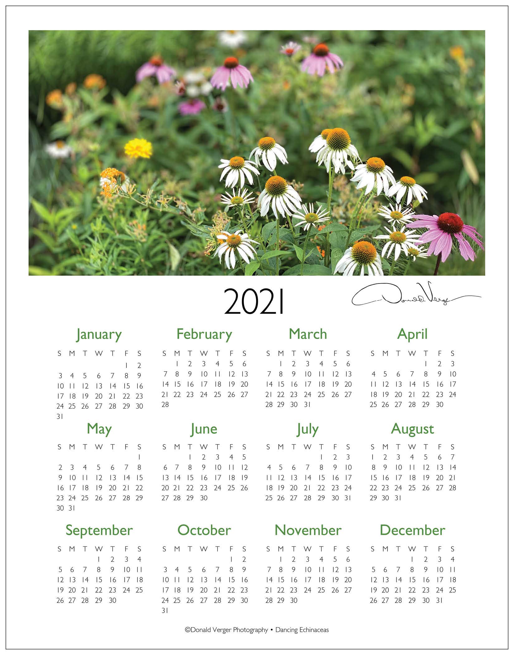 amazon-com-2021-dancing-echinacea-elegant-one-page-flower-fine-art-wall-or-desk-calendar-11x14-artist-poster-print-quality-birthday-christmas-mothers-day-new-years-valentines-gifts-for-women-men