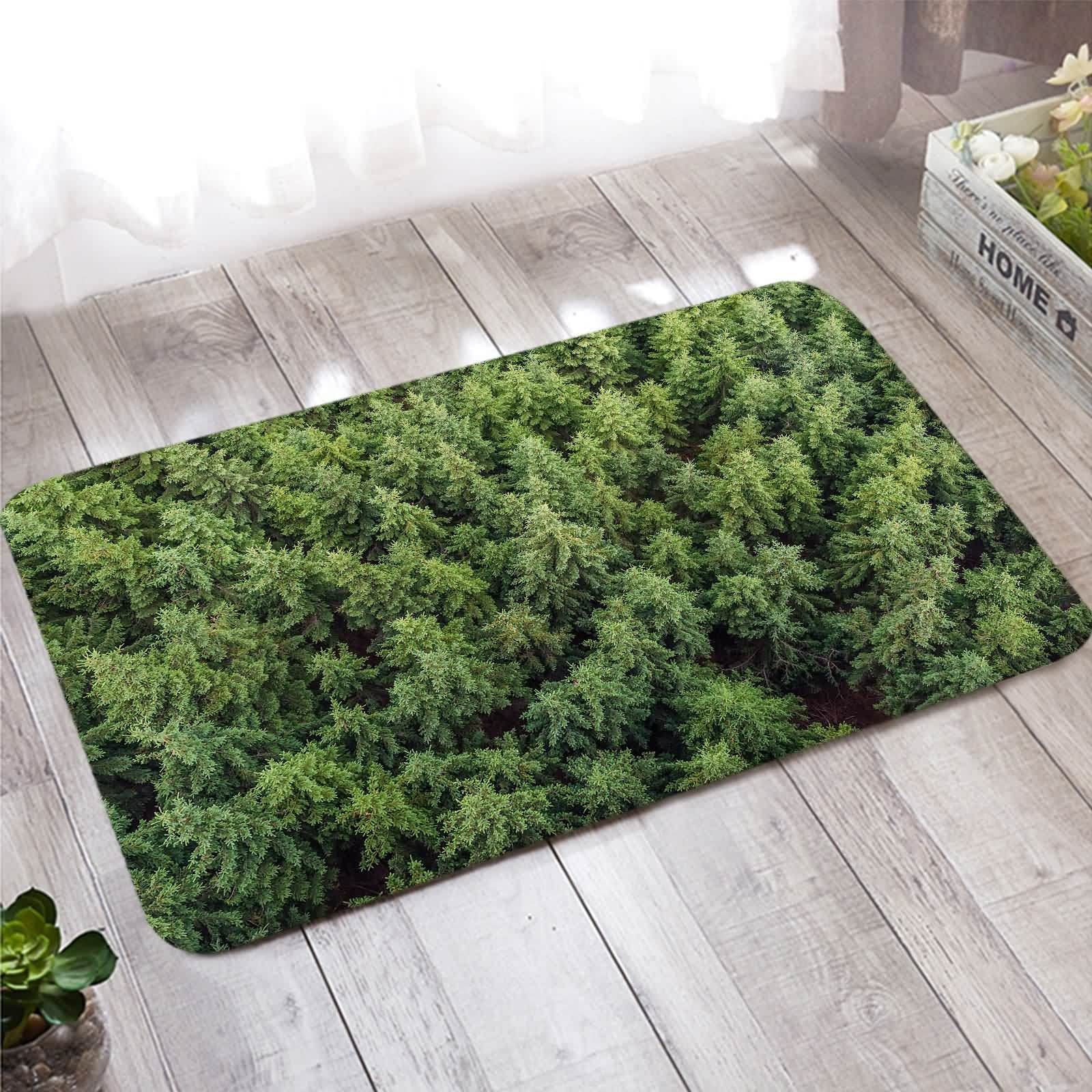 Paillasson extérieur absorbant 60x180cm tapis entrée intérieur vert fin