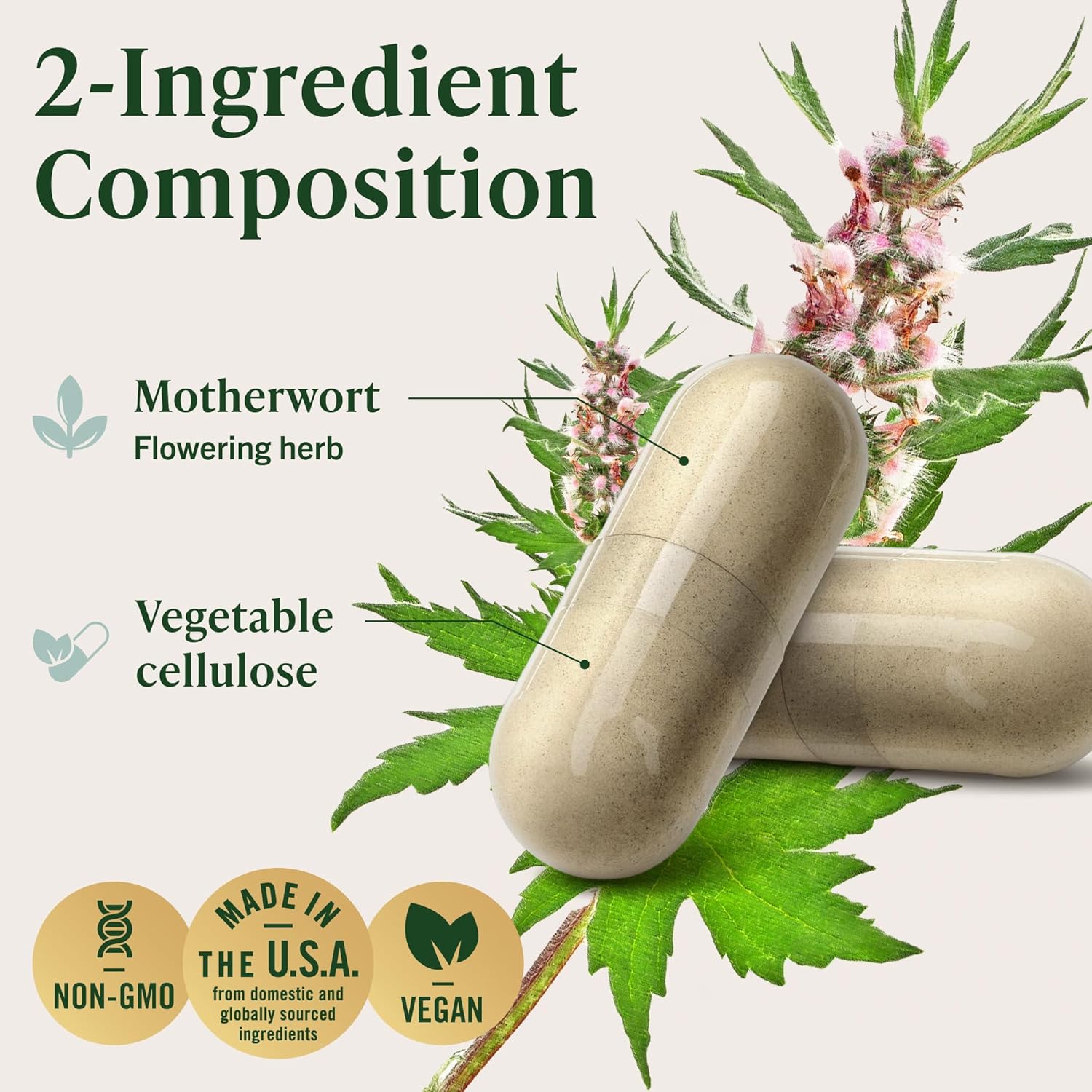 HERBAMAMA Motherwort Capsules – Natural Menopause Supplements* for Women – 1,200mg Motherwort Herb Powder per Serving for Women's Mood & Calm Support – Vegan, Non-GMO – 50-Day Supply - Image 4