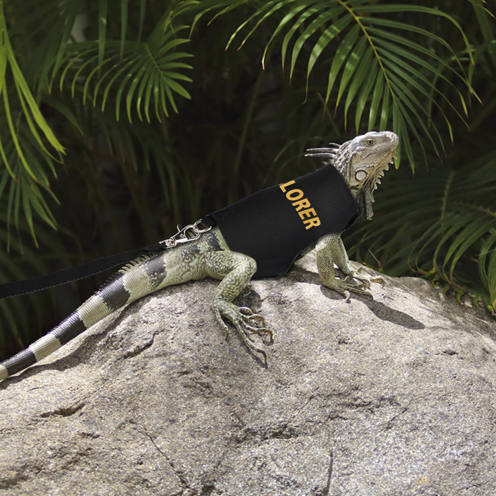 Bearded Dragon Harness Leash Set Adjustable Reptile Costume