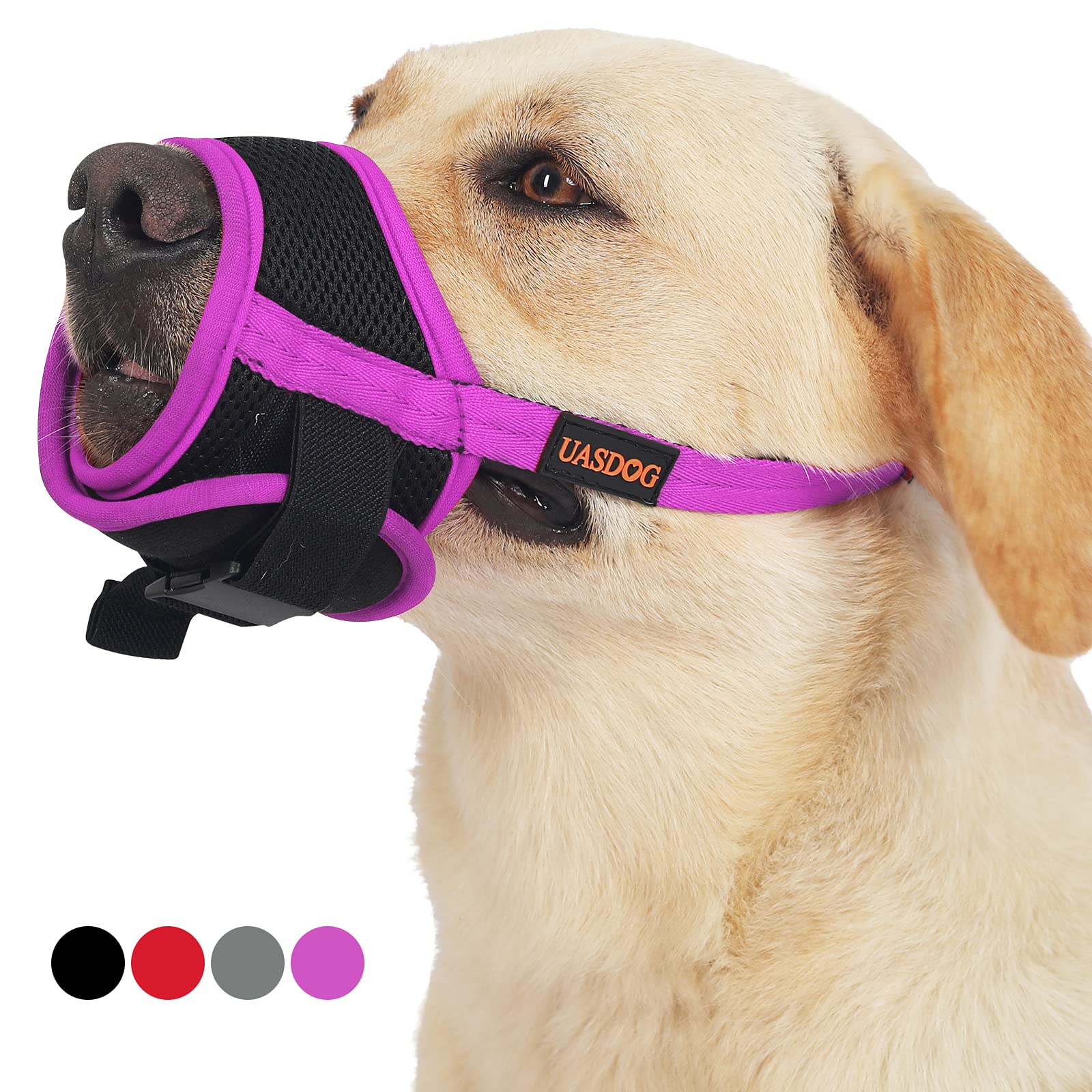 How Do I Stop My Puppy From Biting Other Dogs