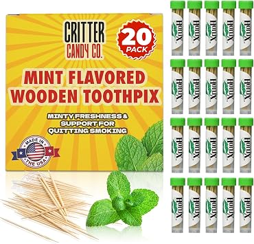 Jerky-n-Spice Mint Flavored Toothpicks, 20 Pack - 400 Count | Organic Peppermint Oil, Portable Dental Care, Smoking Cessation Aid, Fresh Breath, Gluten-Free, Made In USA, Travel Friendly