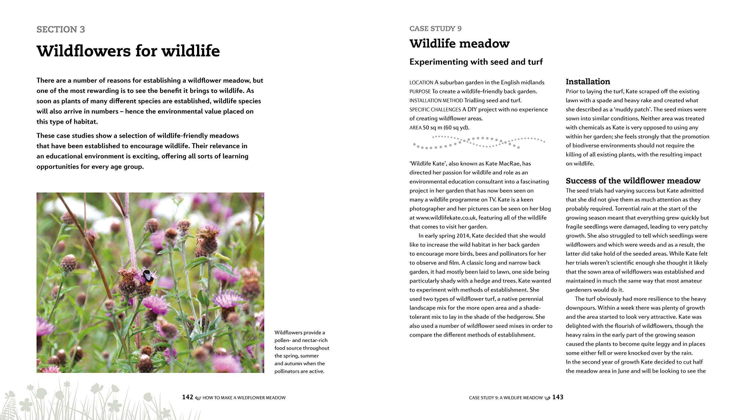 How to make a wildflower meadow: Tried-And-Tested Techniques for New Garden Landscapes