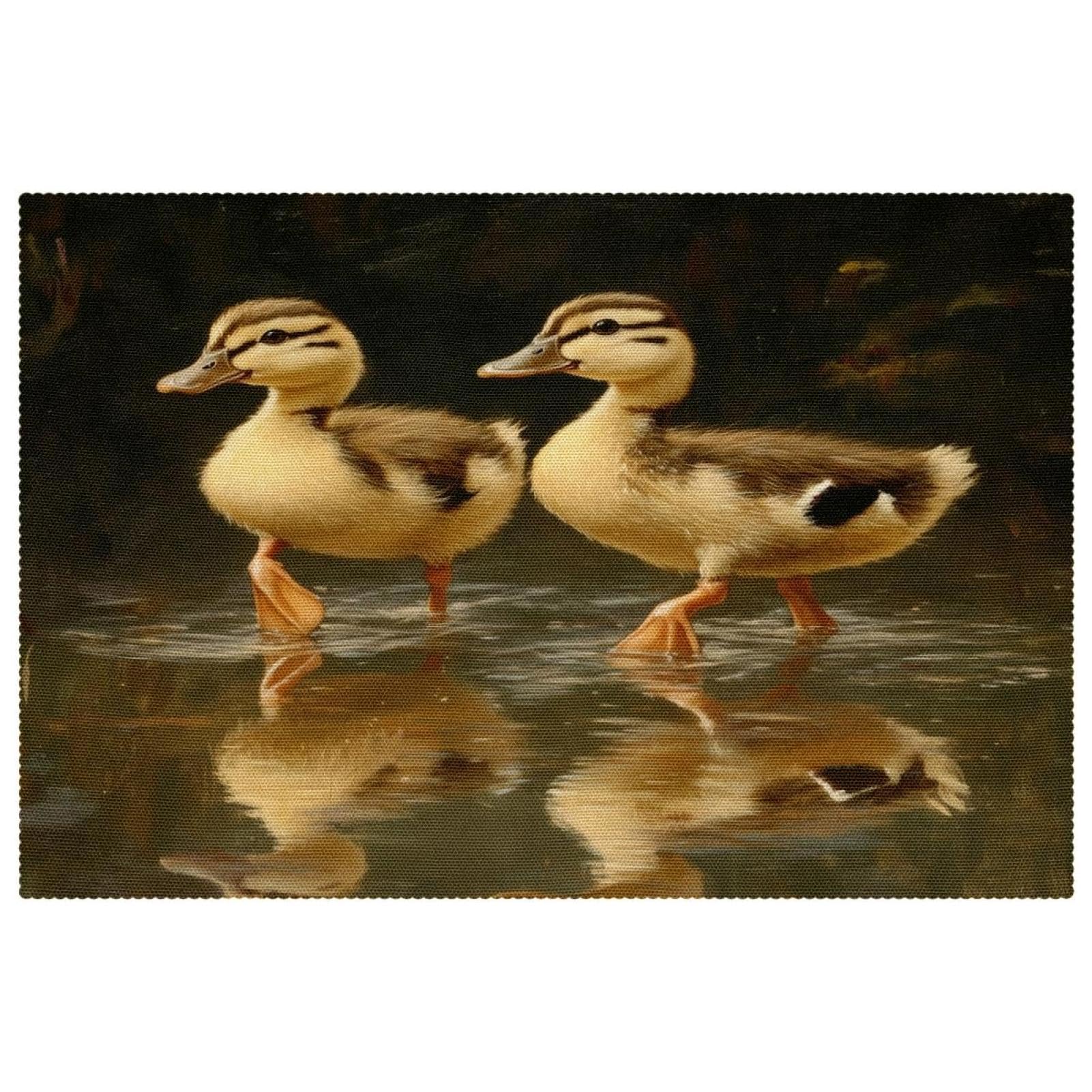 Sets de table 30,5 x 45,7 cm pour repas de famille et grandes tablées