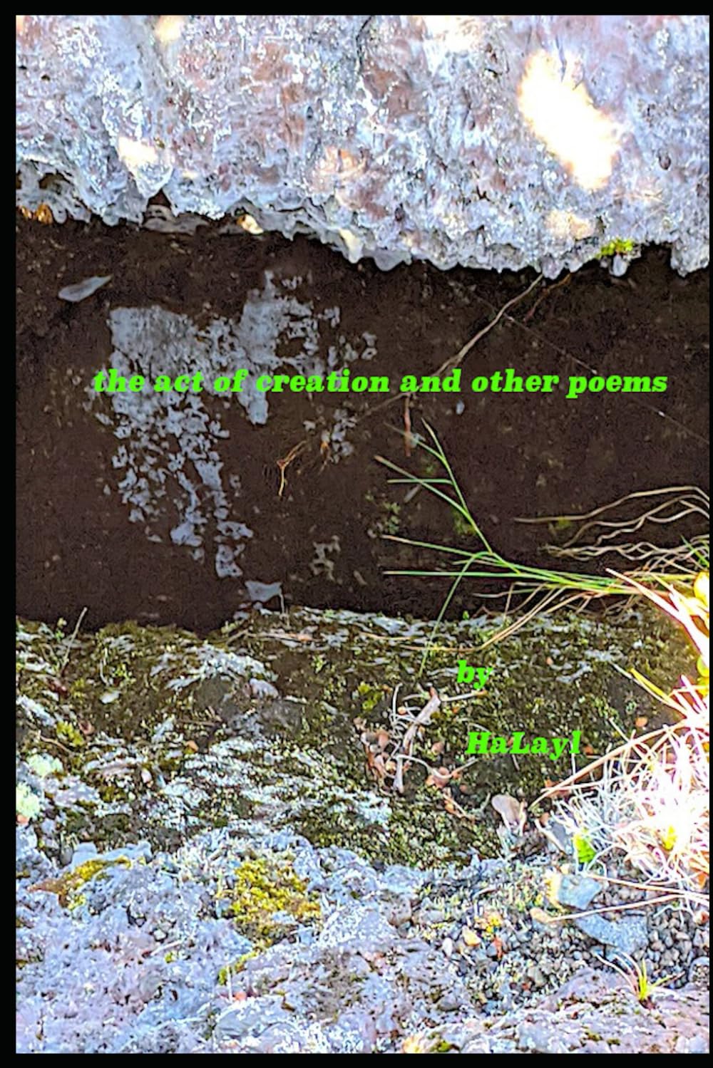 The Act of Creation: and other poems